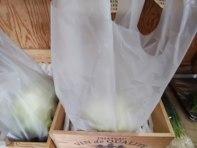 野菜屋がやっている 簡単にできる レタスの保存方法 パリパリ持続します 野菜屋がやっている 簡単にできる レタスの保存方法 パリパリ持続します