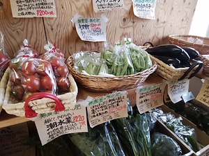 生野菜系が元気 週末は入荷が増えますよ 生野菜系が元気 週末は入荷が増えますよ