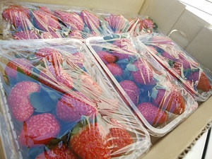 地物の苺がたくさん入荷 9日の野菜は天候次第で収穫が減ります 地物の苺がたくさん入荷 9日の野菜は天候次第で収穫が減ります