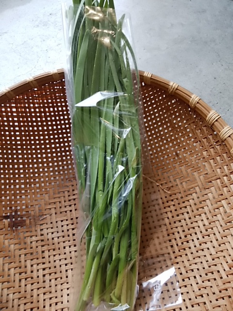 朝霧高原のニラでチャーハン試食 朝霧高原のニラでチャーハン試食