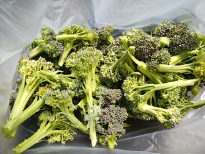 火曜水曜は芝川無農薬野菜がお得 火曜水曜は芝川無農薬野菜がお得