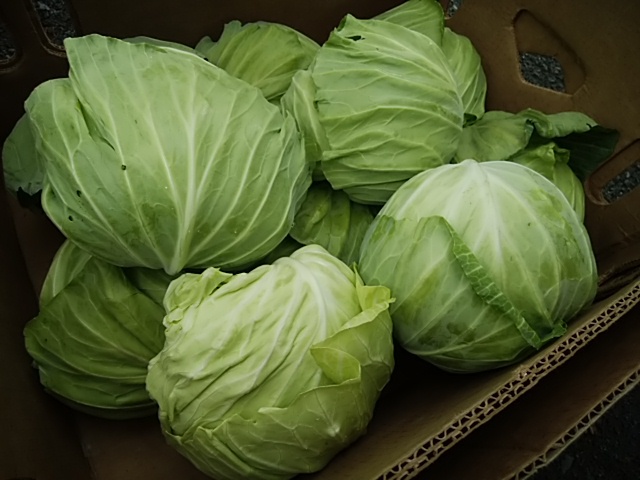 5日は富士山麓野菜と三保潮野菜が盛りだくさん 5日は富士山麓野菜と三保潮野菜が盛りだくさん