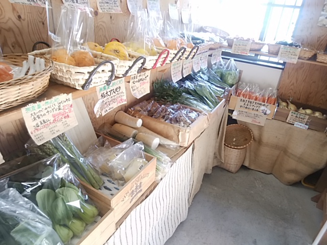 無農薬ニンニク 今日から入荷開始 無農薬ニンニク 今日から入荷開始