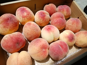 仕事やデートのあるお客様は危険 香り強烈 潮にら入荷 仕事やデートのあるお客様は危険 香り強烈 潮にら入荷