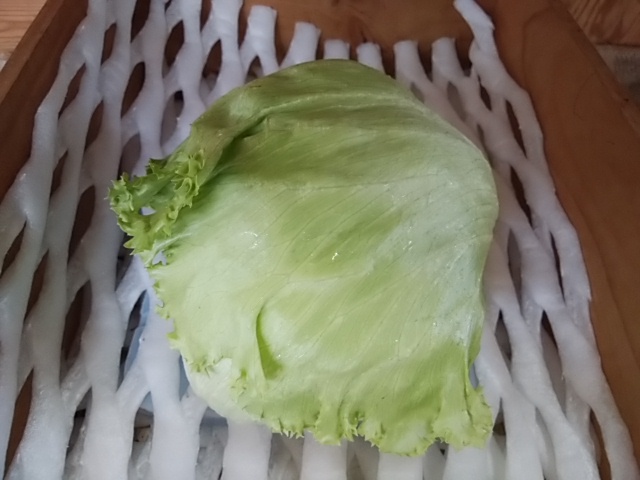 野菜屋がやっている 簡単にできる レタスの保存方法 パリパリ持続します 野菜屋がやっている 簡単にできる レタスの保存方法 パリパリ持続します