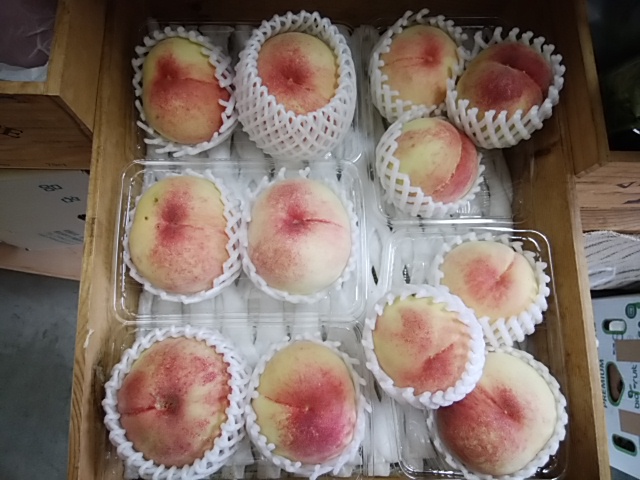 2日は入荷未確定が多いので ぜひ午前中のブログチェックお願いします 2日は入荷未確定が多いので ぜひ午前中のブログチェックお願いします