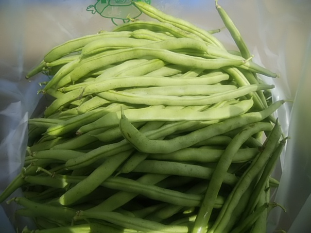 骨と筋肉を強くする野菜 育ち盛りにおすすめの野菜がコレ 骨と筋肉を強くする野菜 育ち盛りにおすすめの野菜がコレ