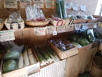 朝採り地野菜 潮にら、春菊がおすすめ 朝採り地野菜 潮にら、春菊がおすすめ