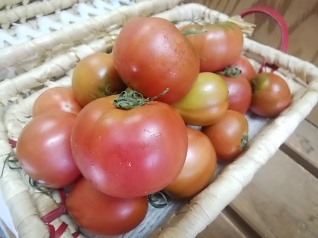 味が濃すぎて食べられない方もいる 超濃厚トマト復活 味が濃すぎて食べられない方もいる 超濃厚トマト復活