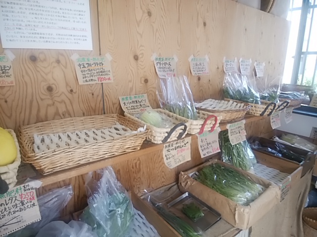 今日の一押し枝豆完売 まいたけ入荷遅れてます 今日の一押し枝豆完売 まいたけ入荷遅れてます