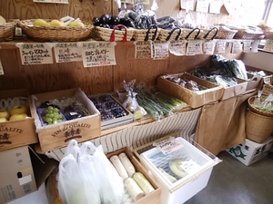 コクのある旨み 富士宮のジャンボ生落花生が入荷 秋野菜もたくさん入荷します コクのある旨み 富士宮のジャンボ生落花生が入荷 秋野菜もたくさん入荷します