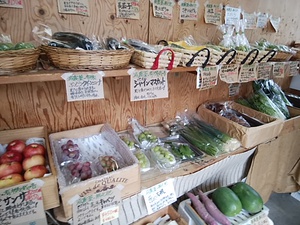 29日 無農薬キャベツ 大根 舞茸が入荷 人気野菜と地物の鮮度抜群な野菜が盛りだくさん 29日 無農薬キャベツ 大根 舞茸が入荷 人気野菜と地物の鮮度抜群な野菜が盛りだくさん