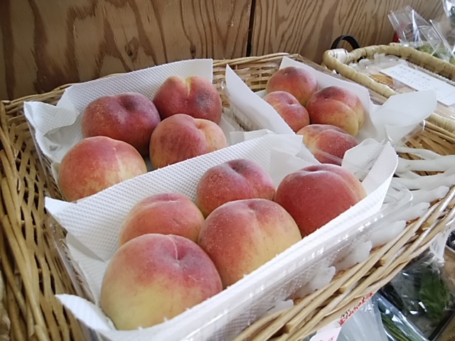 シーズン到来 甘くてジューシーな桃 今日から販売開始 シーズン到来 甘くてジューシーな桃 今日から販売開始
