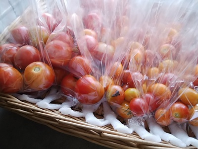 痩せる遺伝子を増やす野菜 甘くて酸味もある 味の濃いトマト2種 痩せる遺伝子を増やす野菜 甘くて酸味もある 味の濃いトマト2種