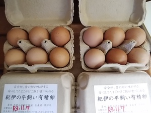 今が旬 産みたて直送 鮮度抜群 和歌山の平飼い有精卵が入荷 安心してたまごかけご飯が食べられる卵 今が旬 産みたて直送 鮮度抜群 和歌山の平飼い有精卵が入荷 安心してたまごかけご飯が食べられる卵