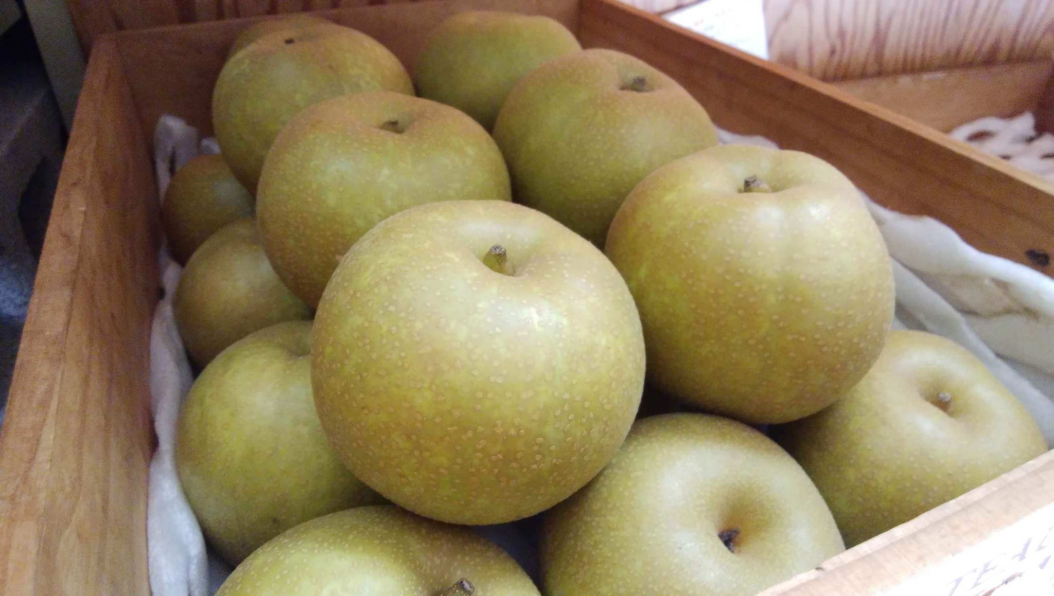 24日地物の梨入荷予定　今年の梨は甘みが薄い　味次第で販売中止あります