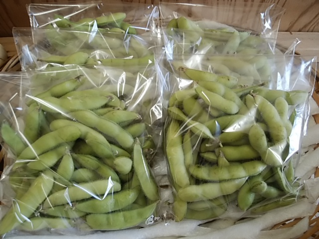 樹上完熟 滴る果汁 すぐ食べられる甘い桃 12日たくさん入荷 樹上完熟 滴る果汁 すぐ食べられる甘い桃 12日たくさん入荷