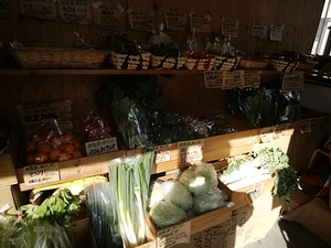 今週もたくさん入荷 朝霧高原野菜 地物野菜がたくさん入荷する定休日明けの火曜日 今週もたくさん入荷 朝霧高原野菜 地物野菜がたくさん入荷する定休日明けの火曜日