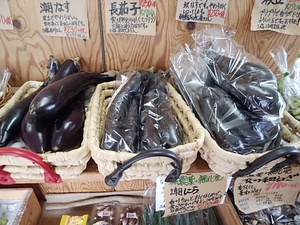 秋茄子が旨い 三保の潮茄子 朝霧高原茄子 旨い茄子が揃ってます 秋茄子が旨い 三保の潮茄子 朝霧高原茄子 旨い茄子が揃ってます
