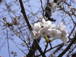 今日から3月