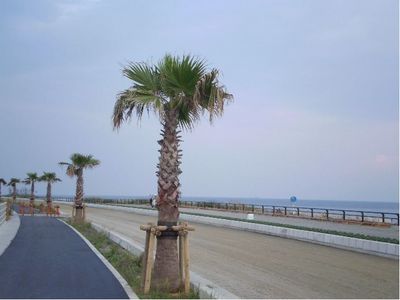 潮風の道・新しい道