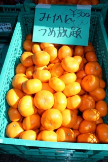 再び沢山のお野菜が登場です!『しずおか美人』