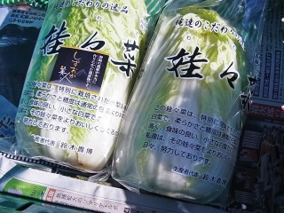 再び沢山のお野菜が登場です!『しずおか美人』