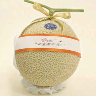 再び沢山のお野菜が登場です!『しずおか美人』
