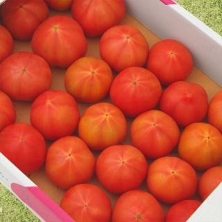 再び沢山のお野菜が登場です!『しずおか美人』