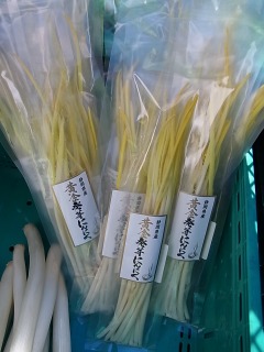 再び沢山のお野菜が登場です!『しずおか美人』