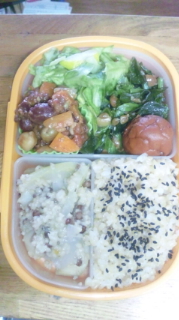 本日のお弁当