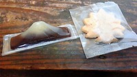 新屋山神社と吉田のうどん