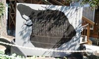 秋の初島へ