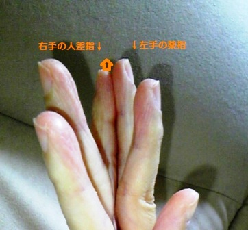 男脳夫婦