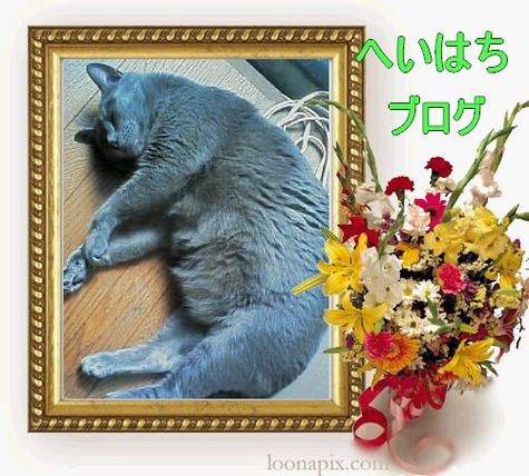 11/24(水)開催イベントに向けて・・・❀