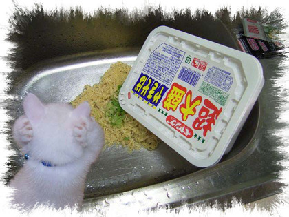 鮎解禁前日~釣具屋のお昼ごはん~