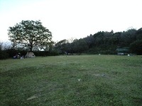 自然にカエル