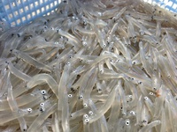 賑やかな池森です