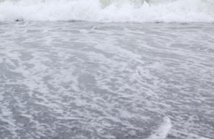 海