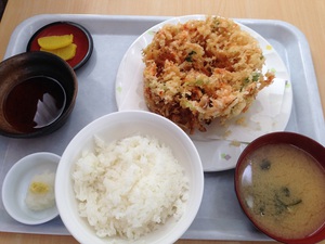 小川港魚河岸食堂特製かき揚げ