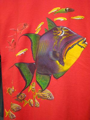 魚介類は好きですか??w