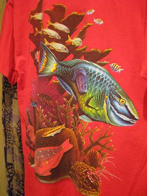魚介類は好きですか??w