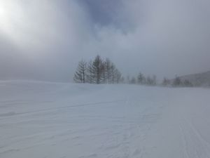 ２月１３日Mt.乗鞍スノーリゾート②