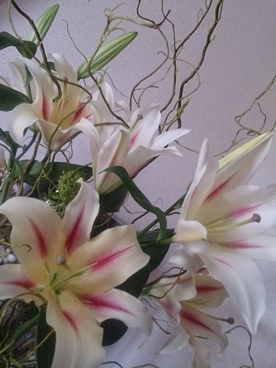 ユリが開花しました ユリが開花しました