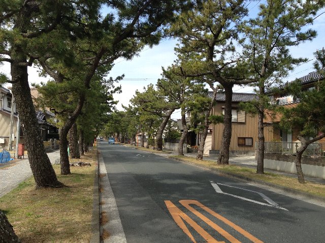 浜松の旅行に行って来ました。2013年春。(^・^) 後編。