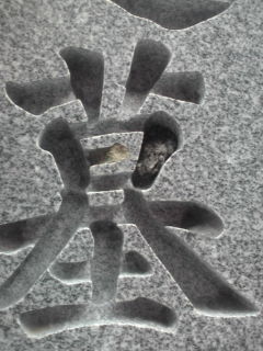 お墓にカエル