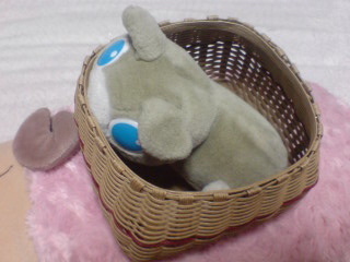 エコクラフトのかご