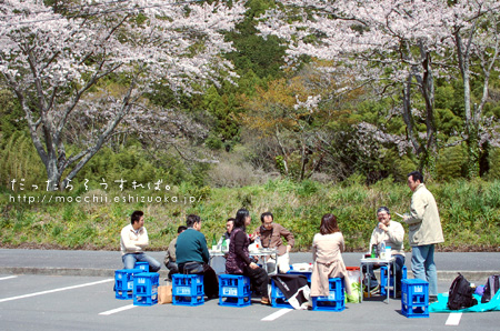 鈴木酒店さん主催イベント「桜と志太泉を楽しむ会」