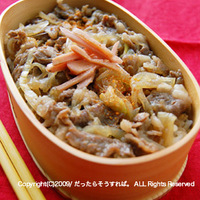 過去弁当 その1