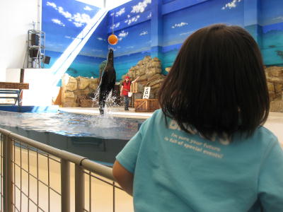 伊勢旅行(鳥羽水族館編)